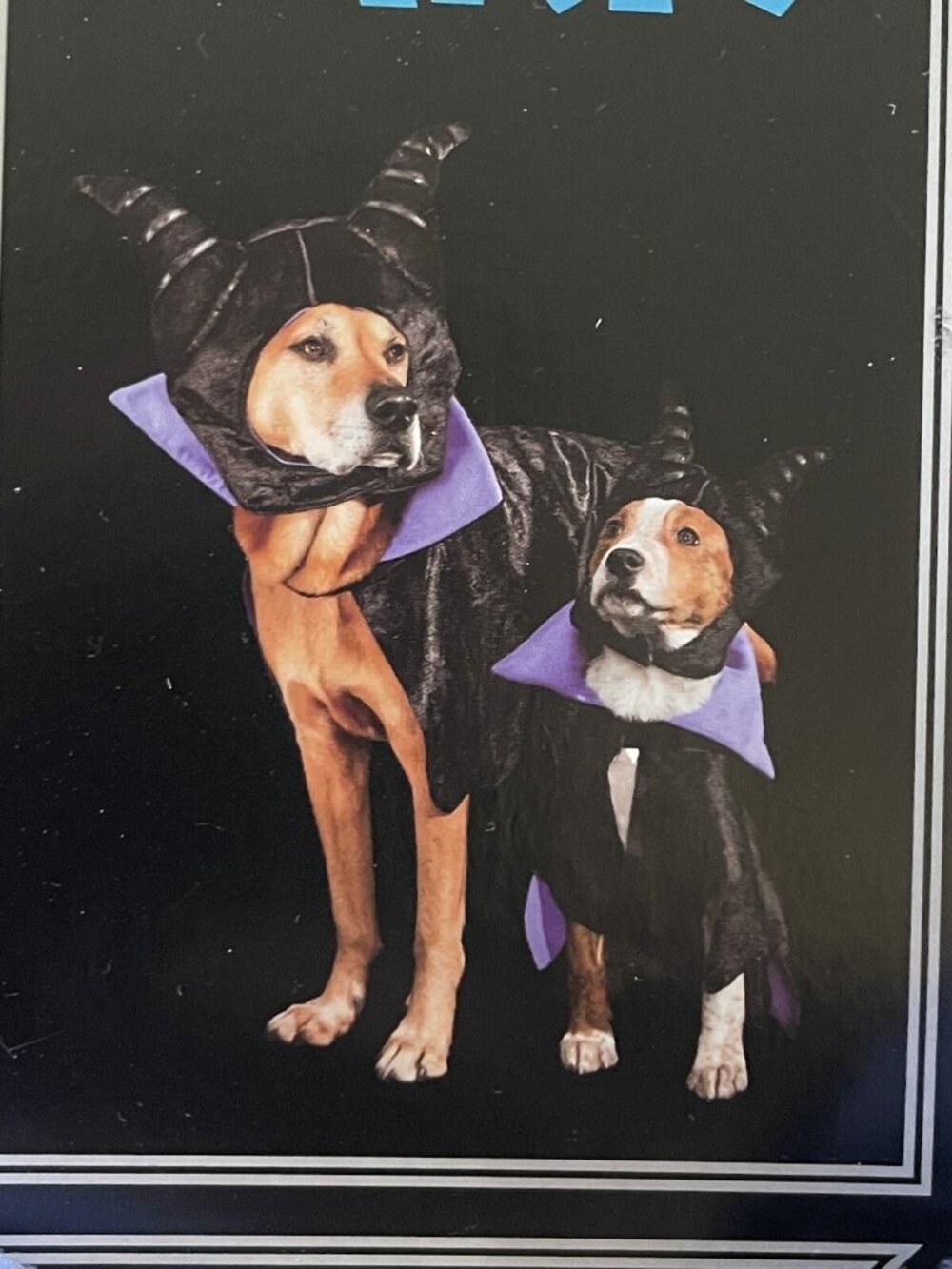 BARK Disney Villains Maleficent Dark Magic Dog Costume XS/S Halloween Outfit